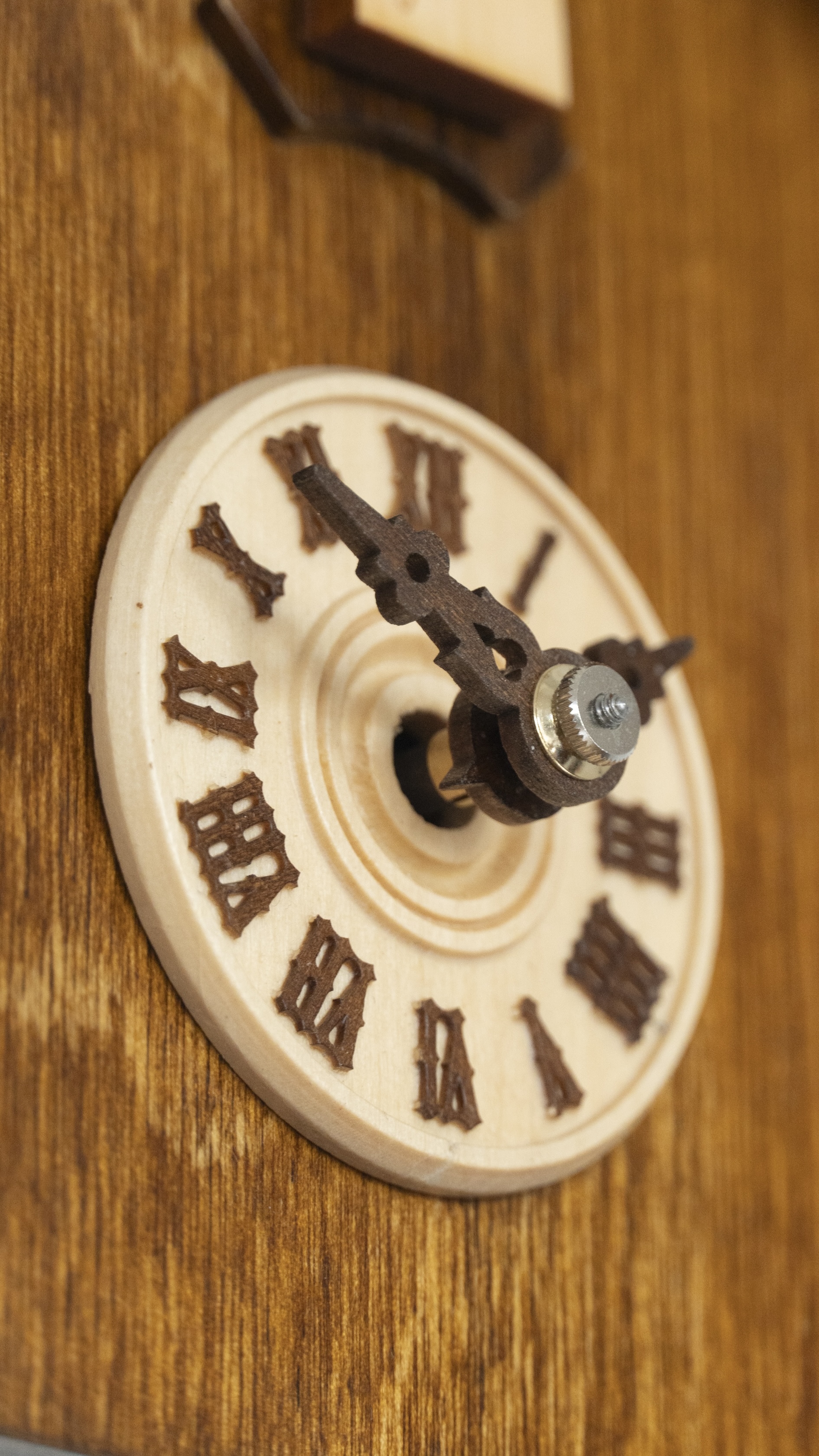 LIFE - (1-Tag) Design Kuckucksuhr (braun)  Rombach & Haas